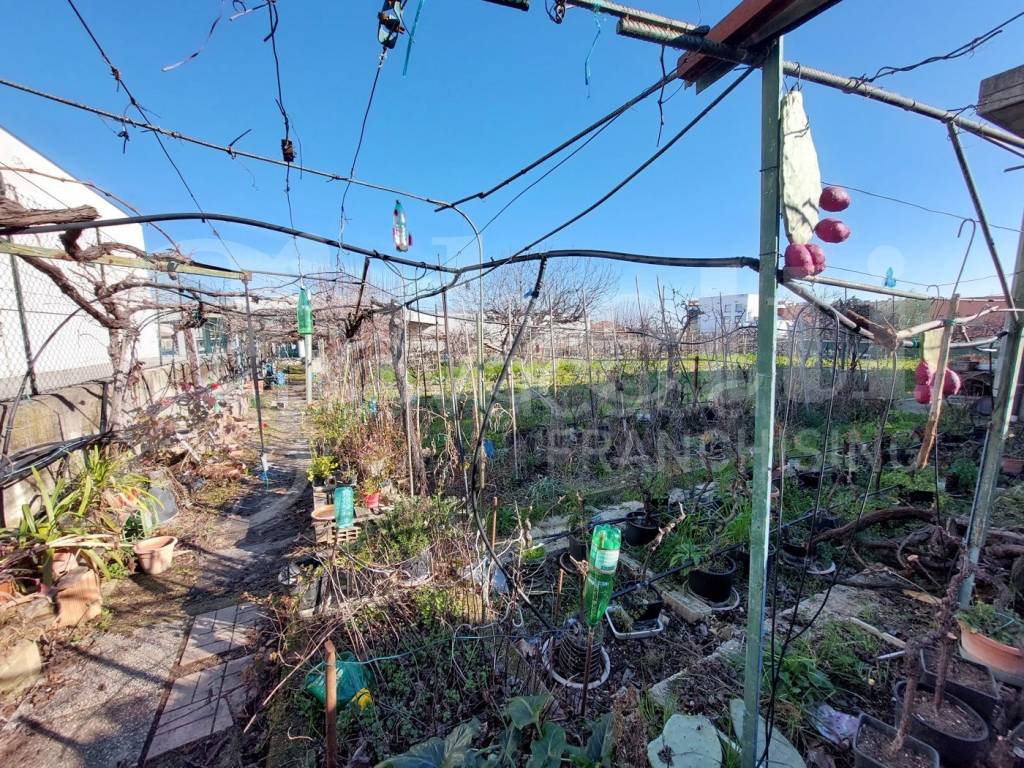 immagine annuncio 2 di 10