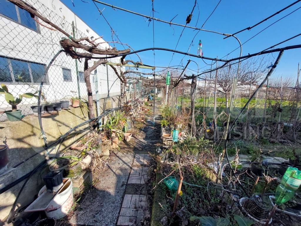 immagine annuncio 3 di 10