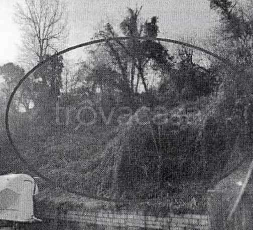 immagine annuncio 2 di 8