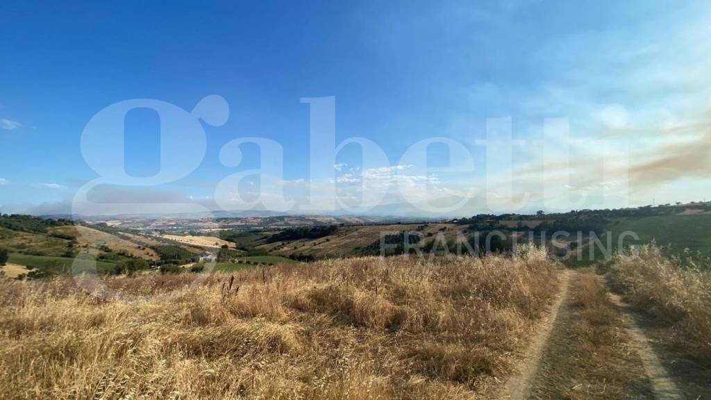 immagine annuncio 3 di 11