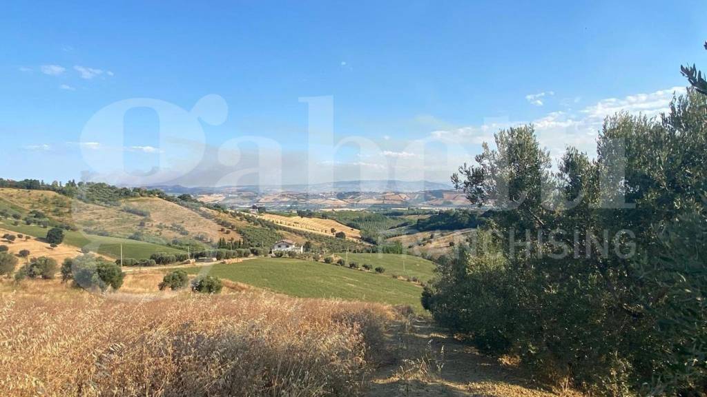 immagine annuncio 4 di 11