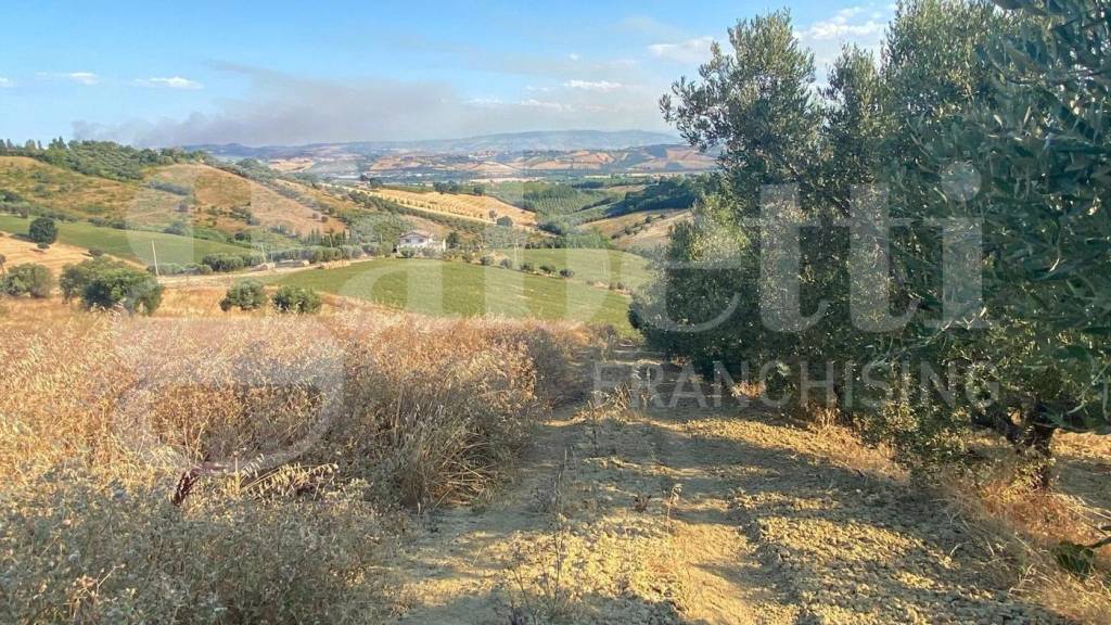 immagine annuncio 5 di 11