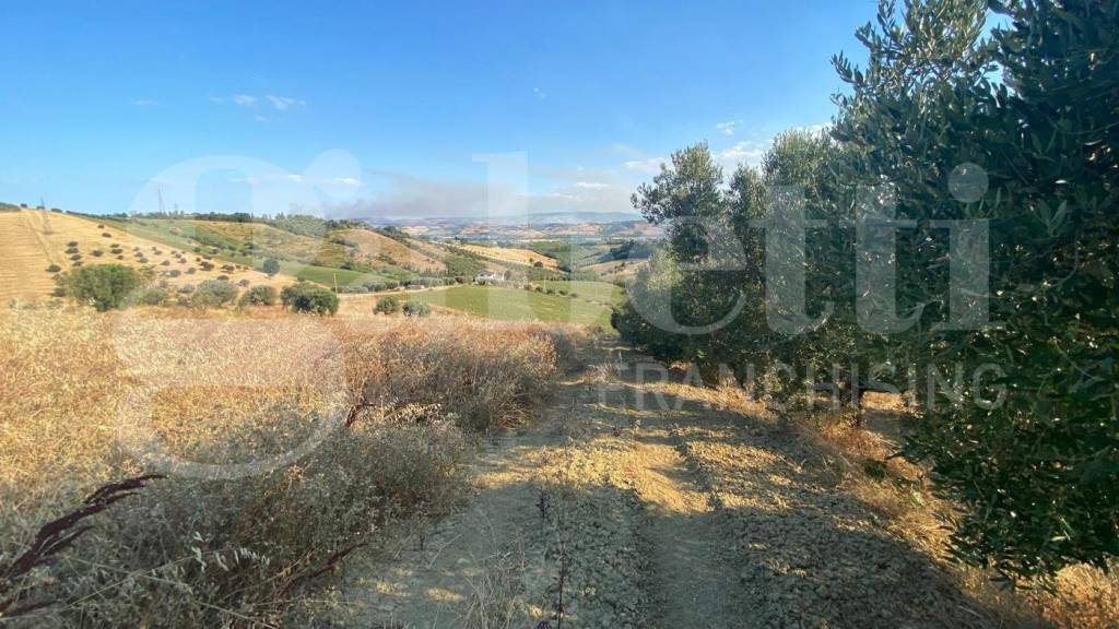 immagine annuncio 6 di 11