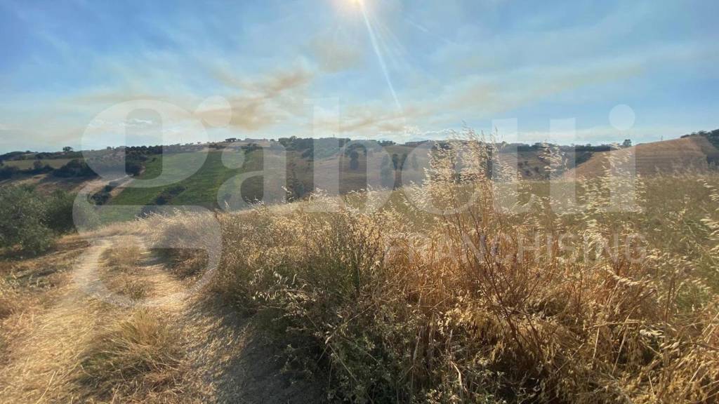 immagine annuncio 8 di 11