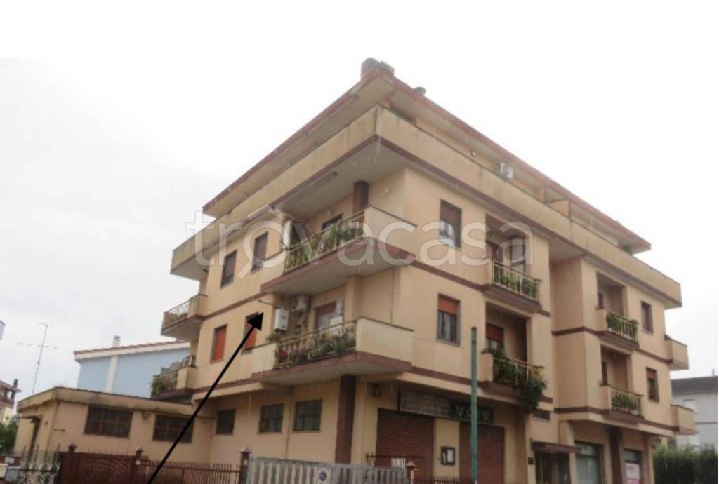 immagine annuncio 10 di 11