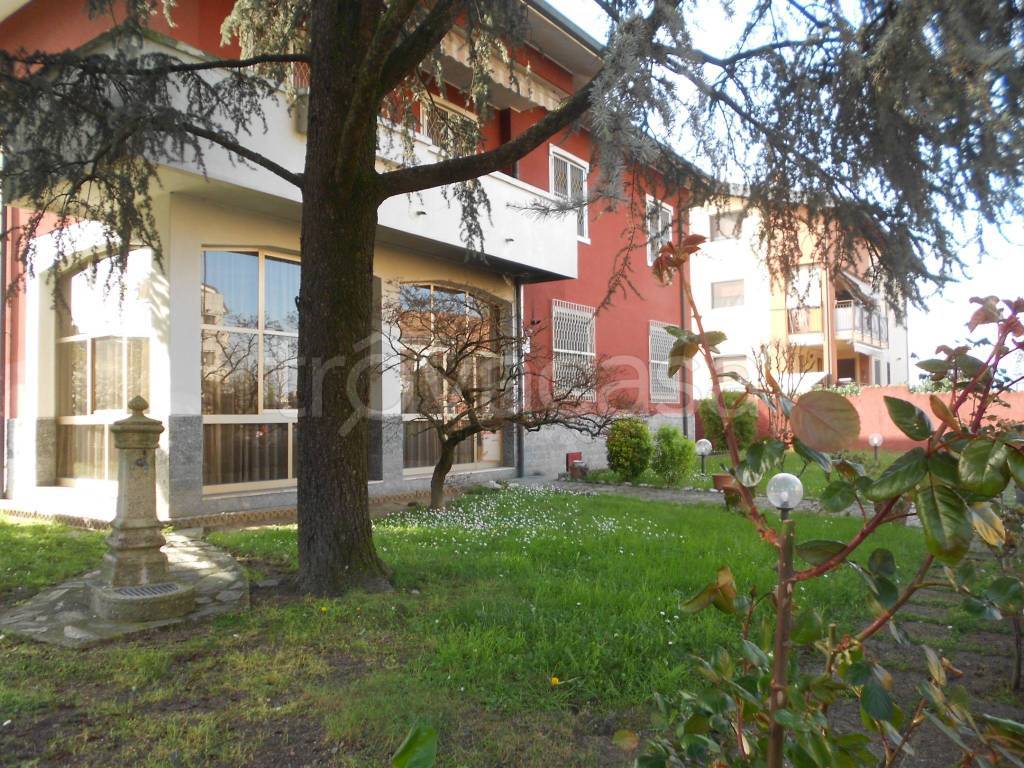 immagine annuncio 3 di 15