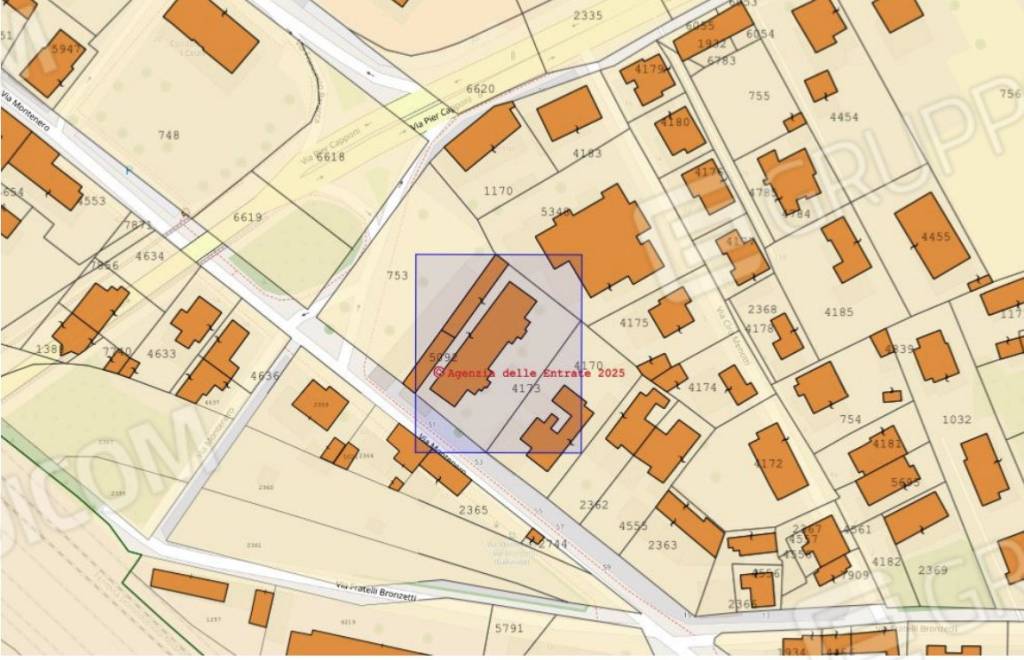 immagine annuncio 3 di 15