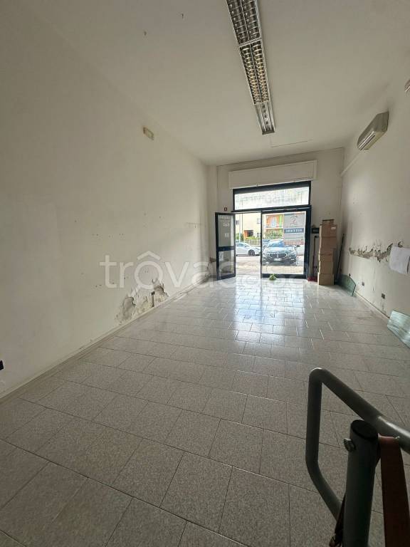 immagine annuncio 6 di 12