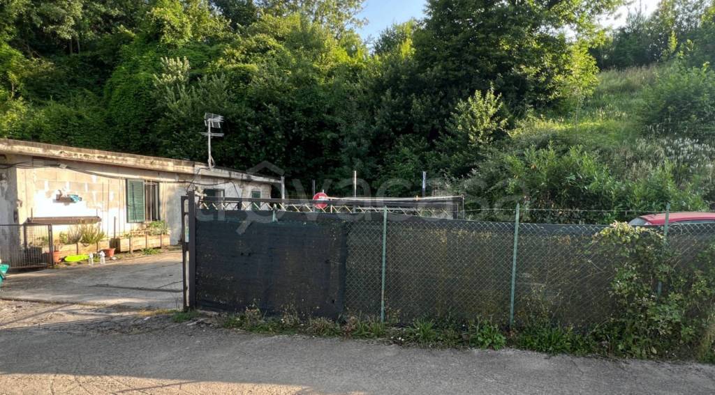 immagine annuncio 12 di 13