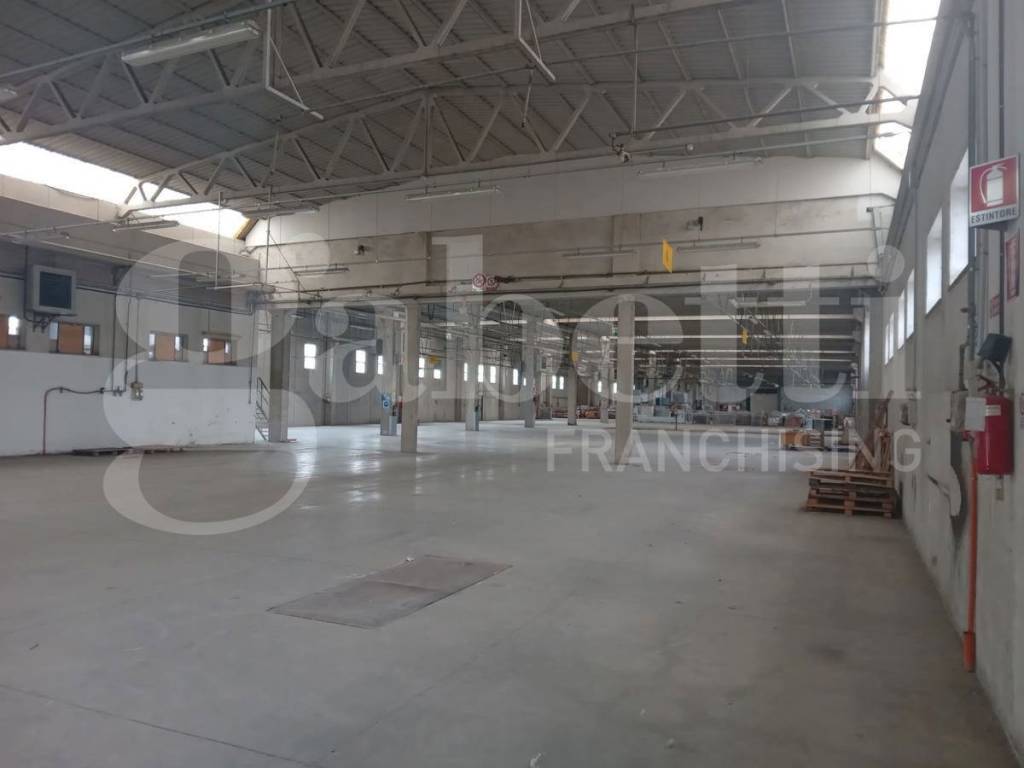 immagine annuncio 2 di 4