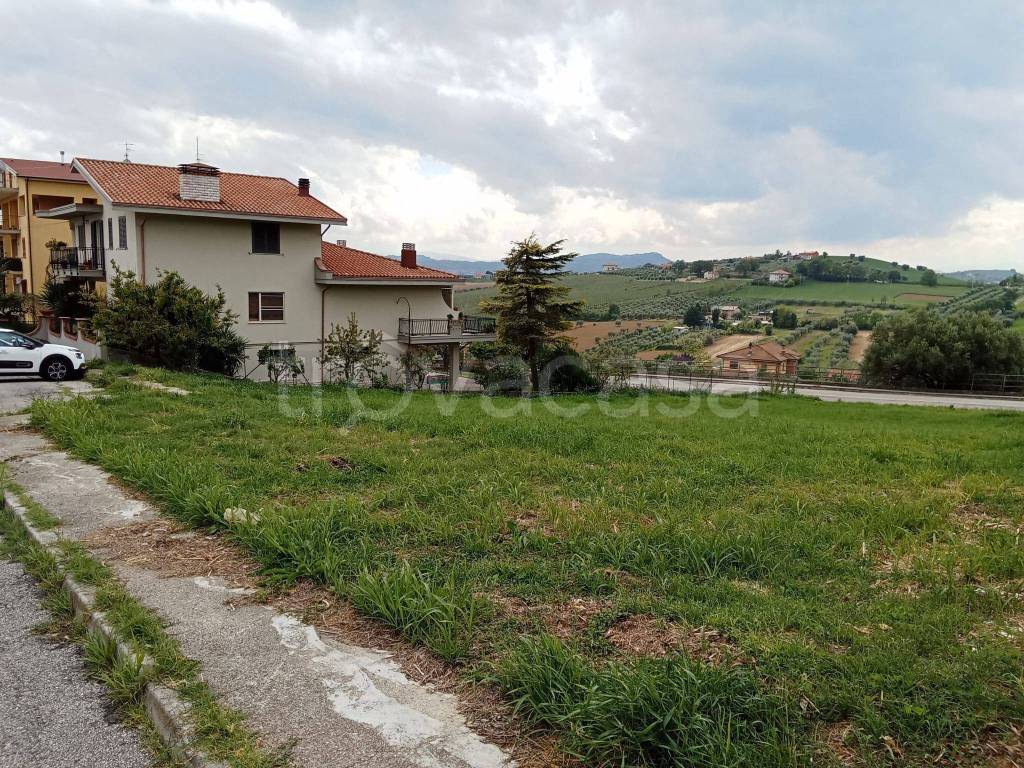 immagine annuncio 4 di 6