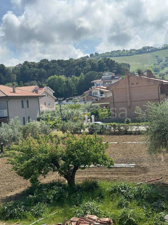 immagine annuncio 1 di 8