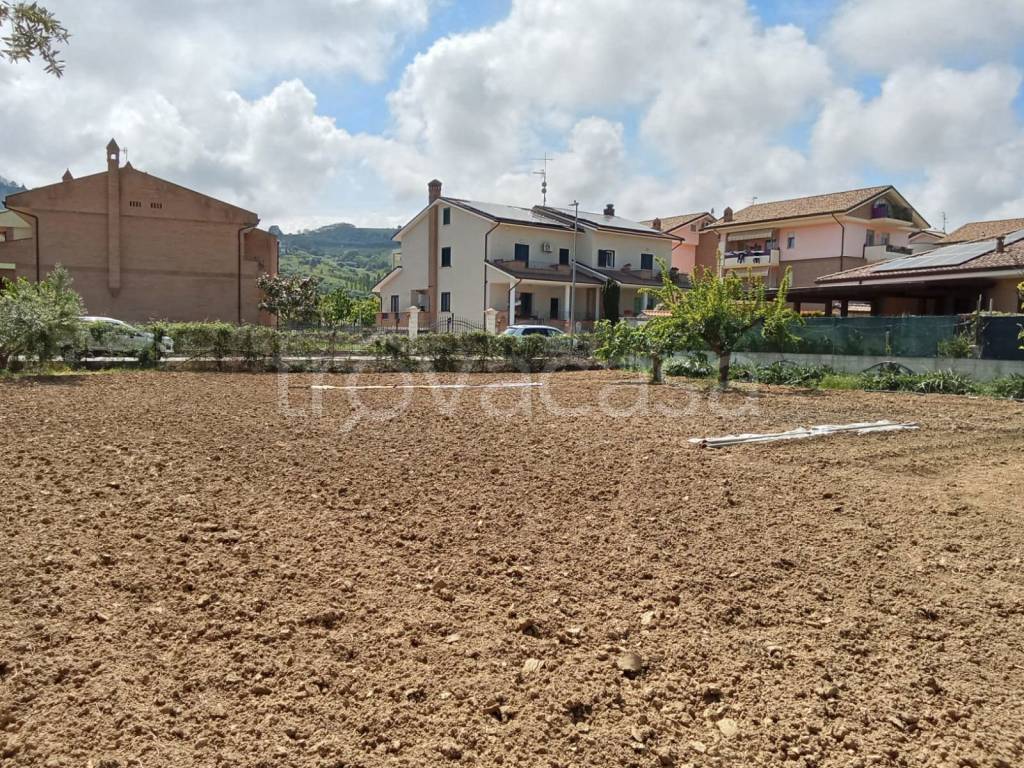 immagine annuncio 5 di 8