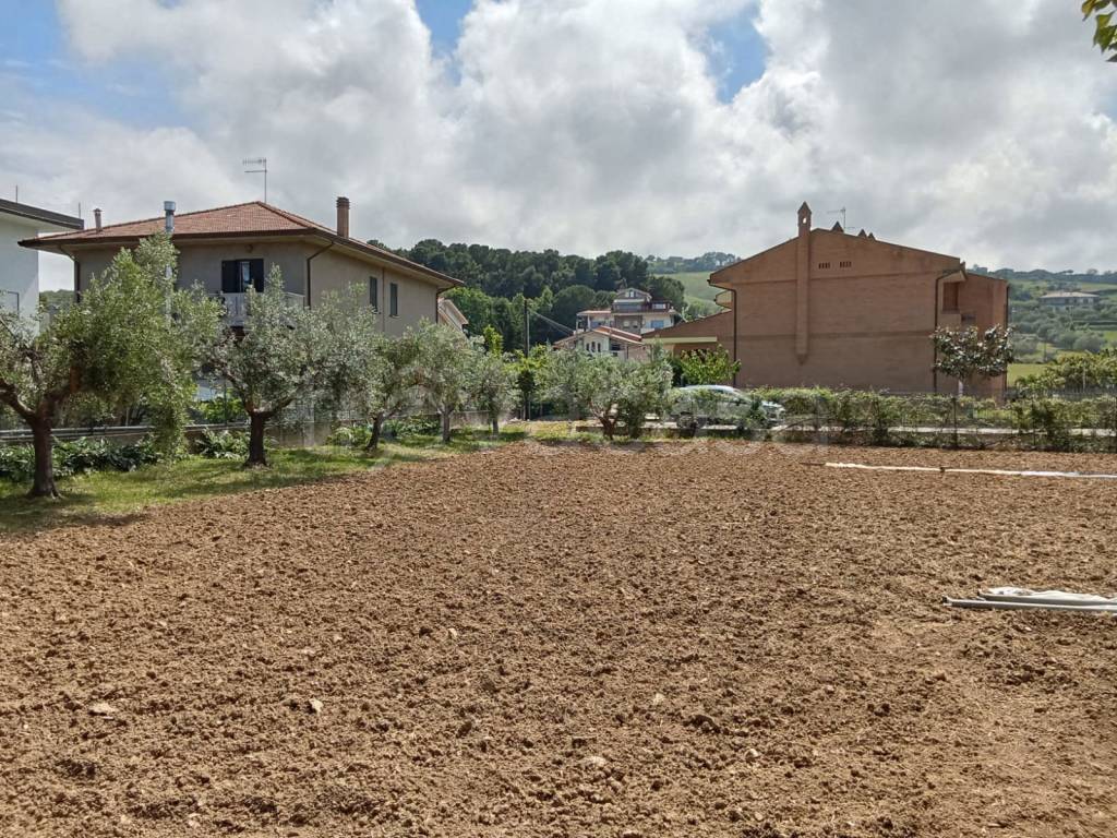 immagine annuncio 6 di 8