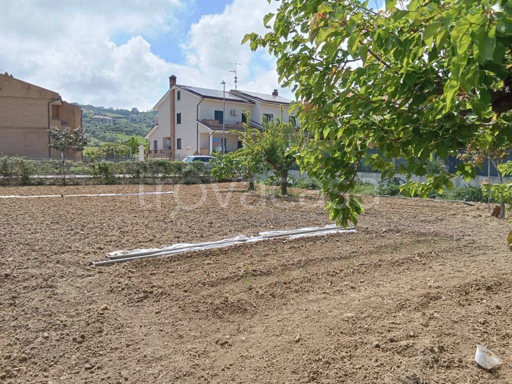 immagine annuncio 7 di 8