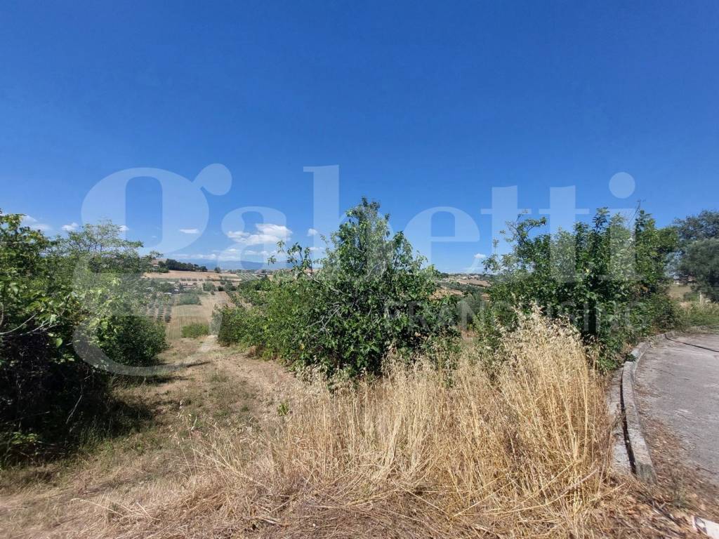 immagine annuncio 1 di 4