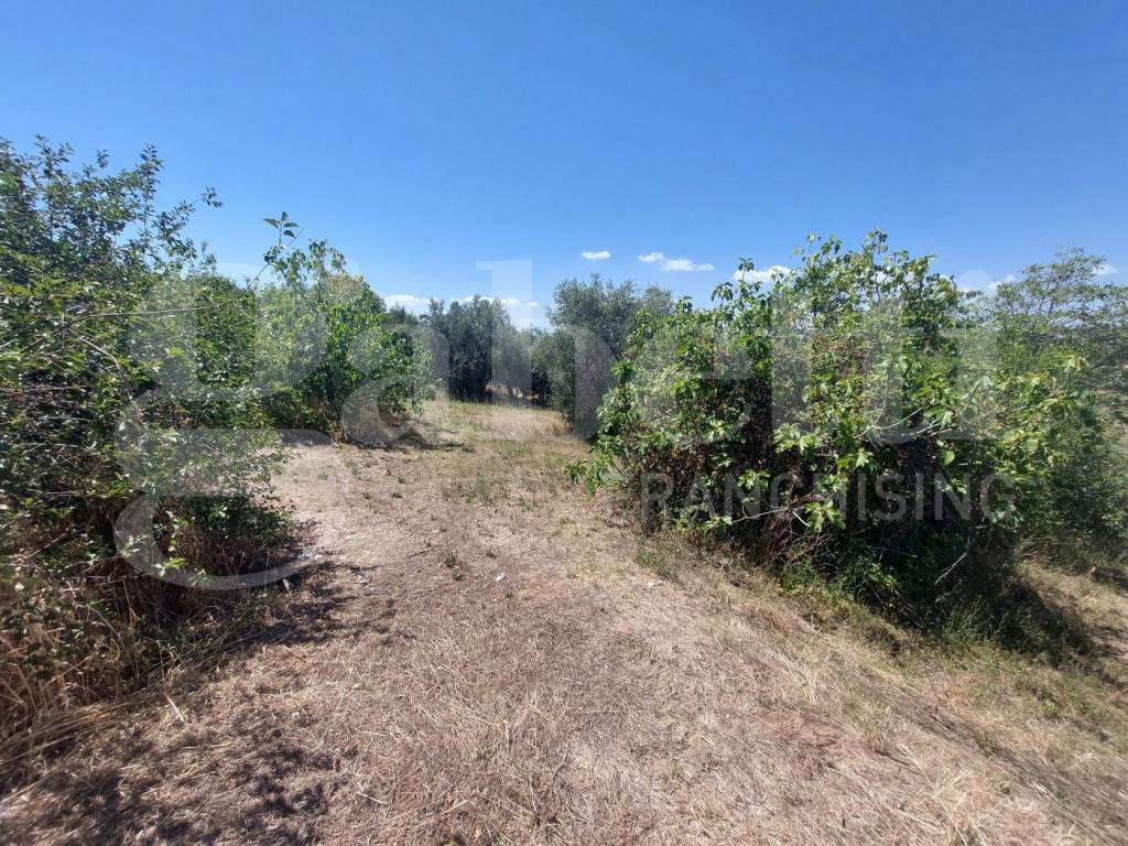 immagine annuncio 3 di 4