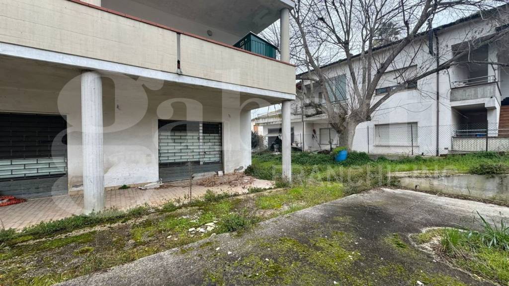 immagine annuncio 2 di 12