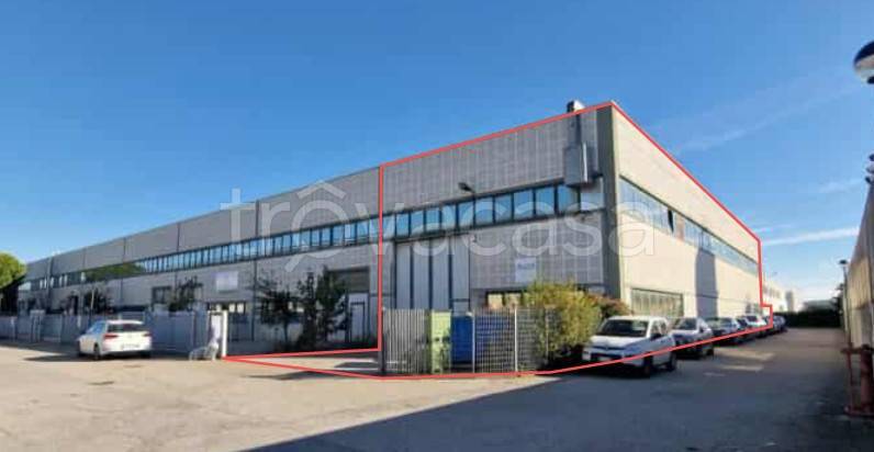 immagine annuncio 2 di 13