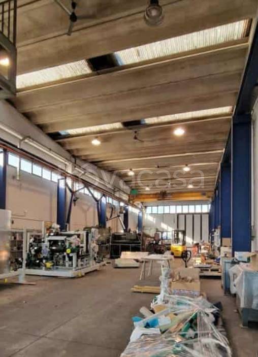 immagine annuncio 3 di 13