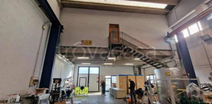 immagine annuncio 4 di 13