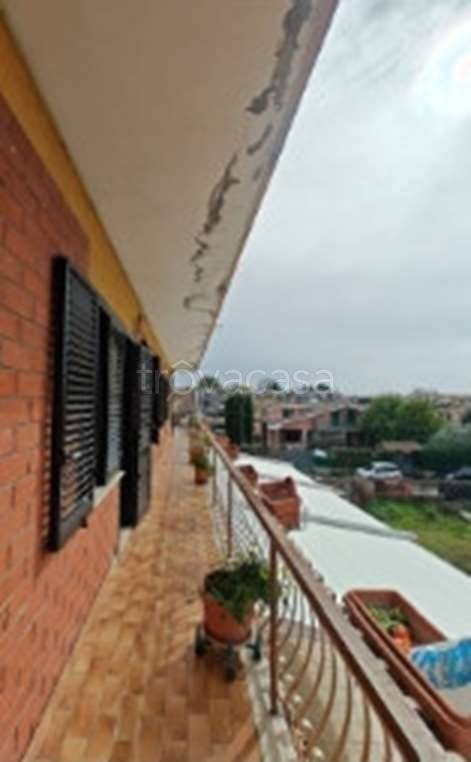 immagine annuncio 4 di 6