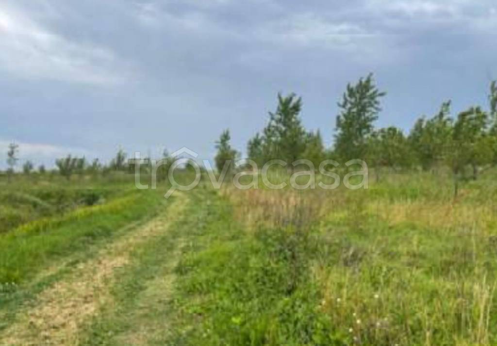 immagine annuncio 8 di 13