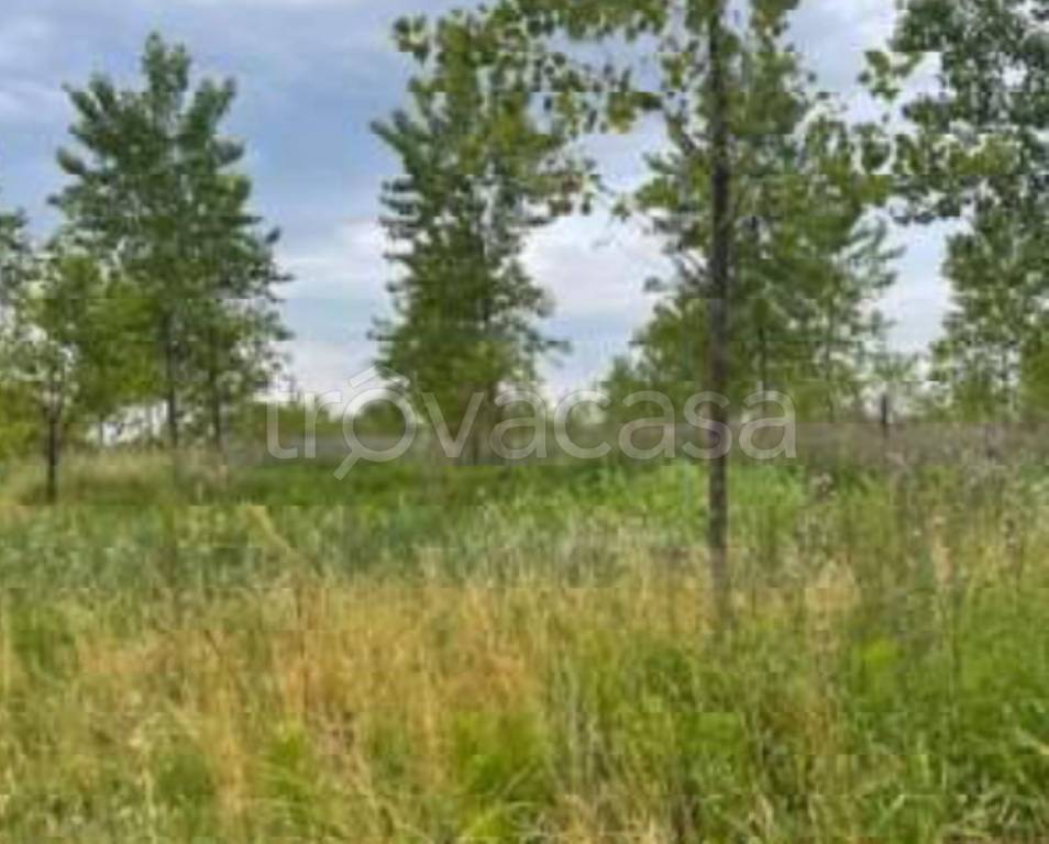 immagine annuncio 9 di 13