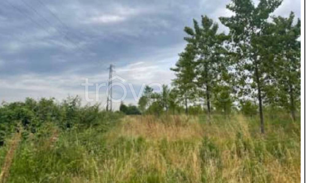 immagine annuncio 10 di 13