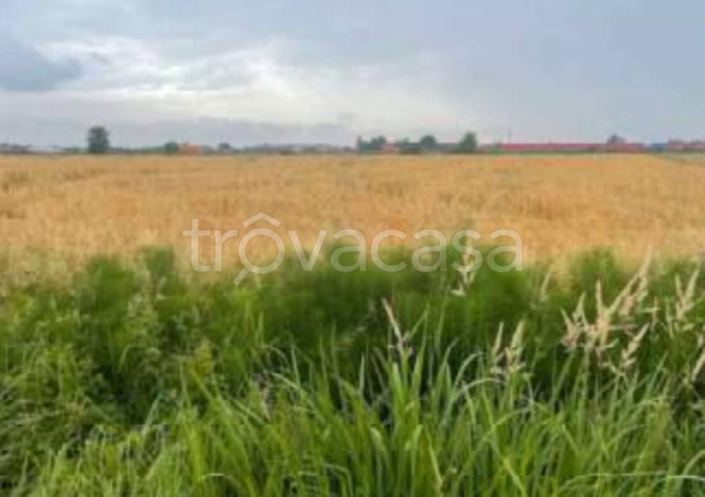 immagine annuncio 12 di 13