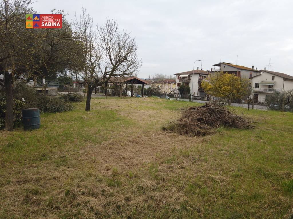 immagine annuncio 2 di 4