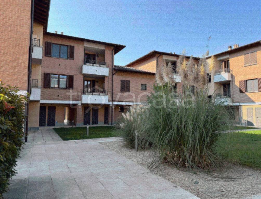 immagine annuncio 10 di 11