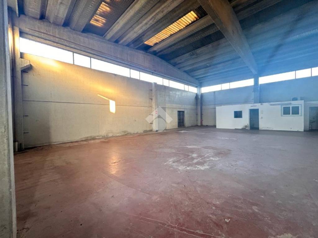 immagine annuncio 1 di 14