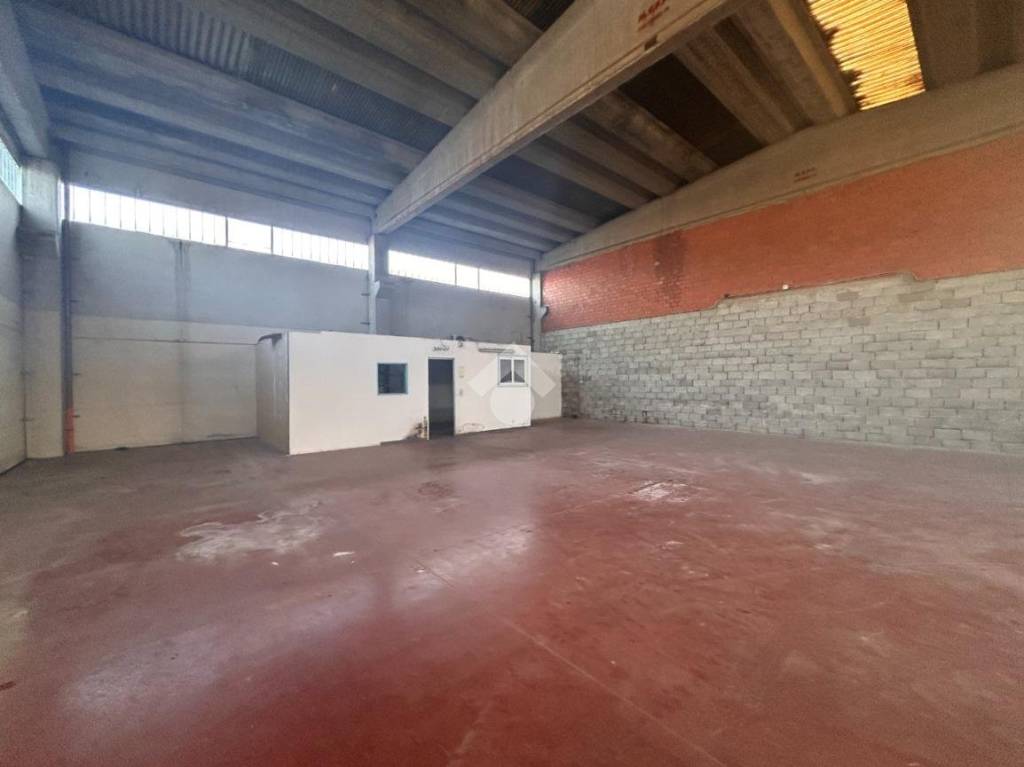 immagine annuncio 2 di 14