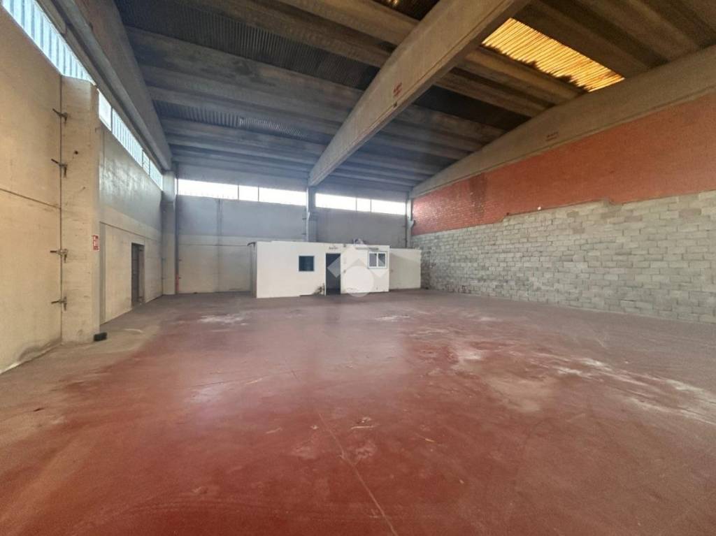 immagine annuncio 3 di 14