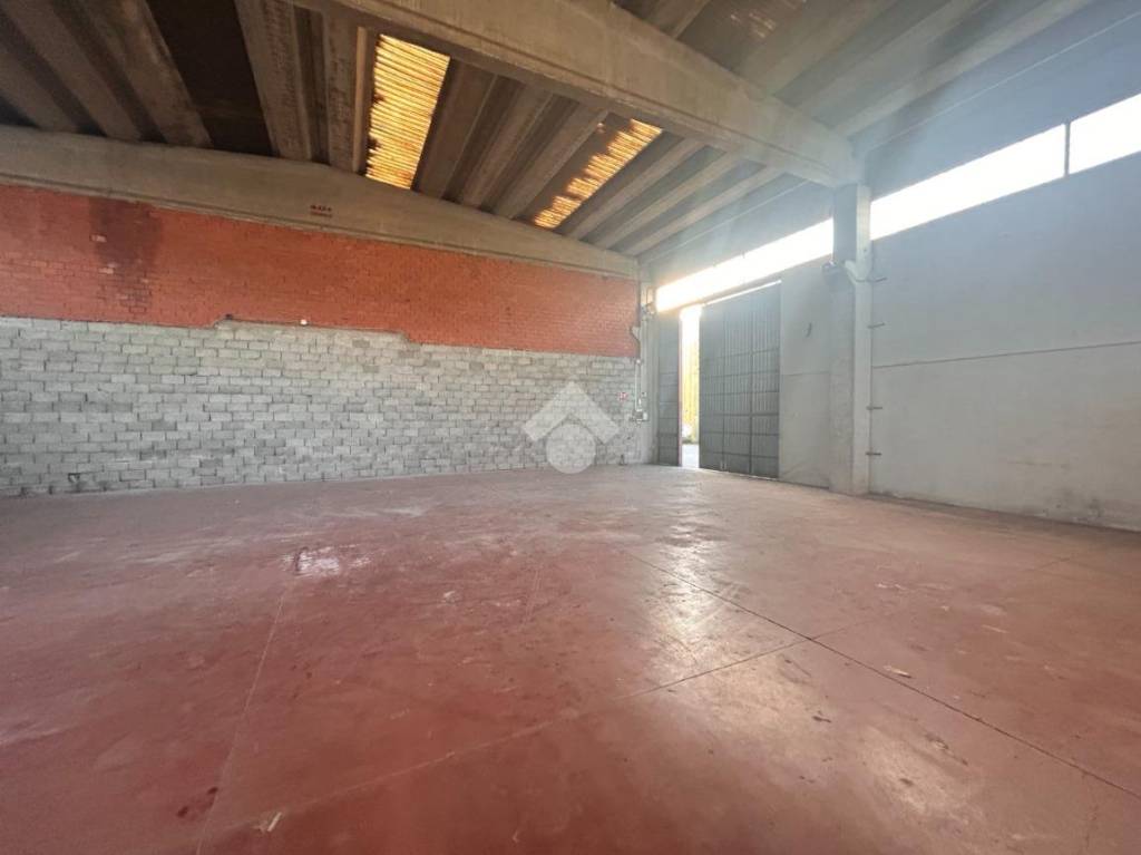 immagine annuncio 4 di 14