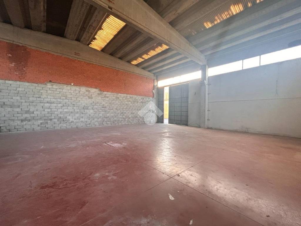 immagine annuncio 5 di 14