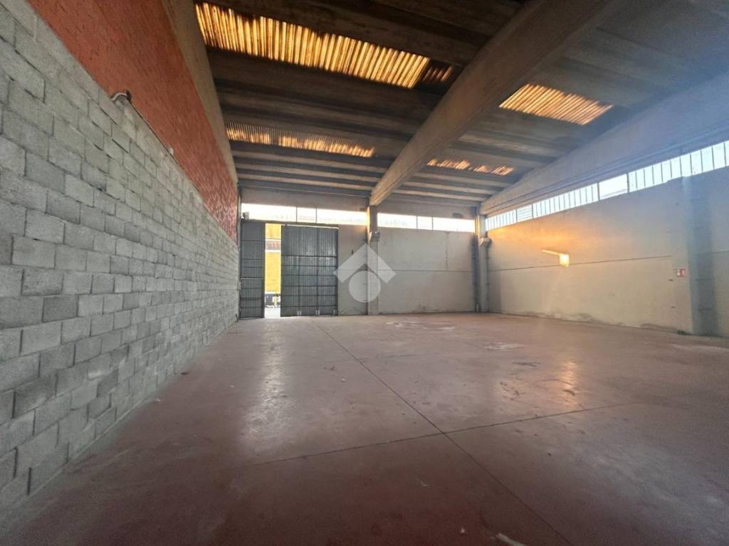 immagine annuncio 6 di 14