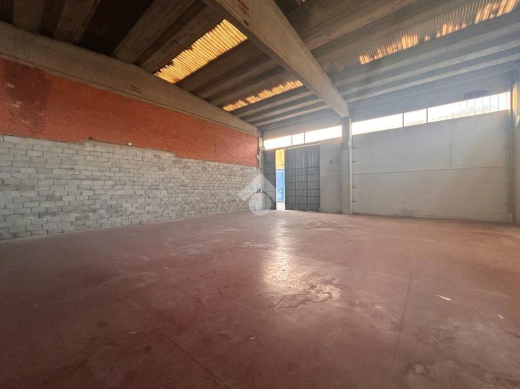 immagine annuncio 7 di 14