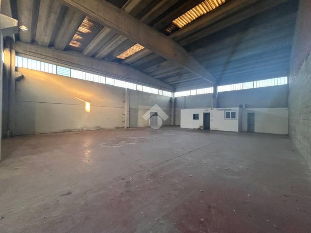 immagine annuncio 9 di 14