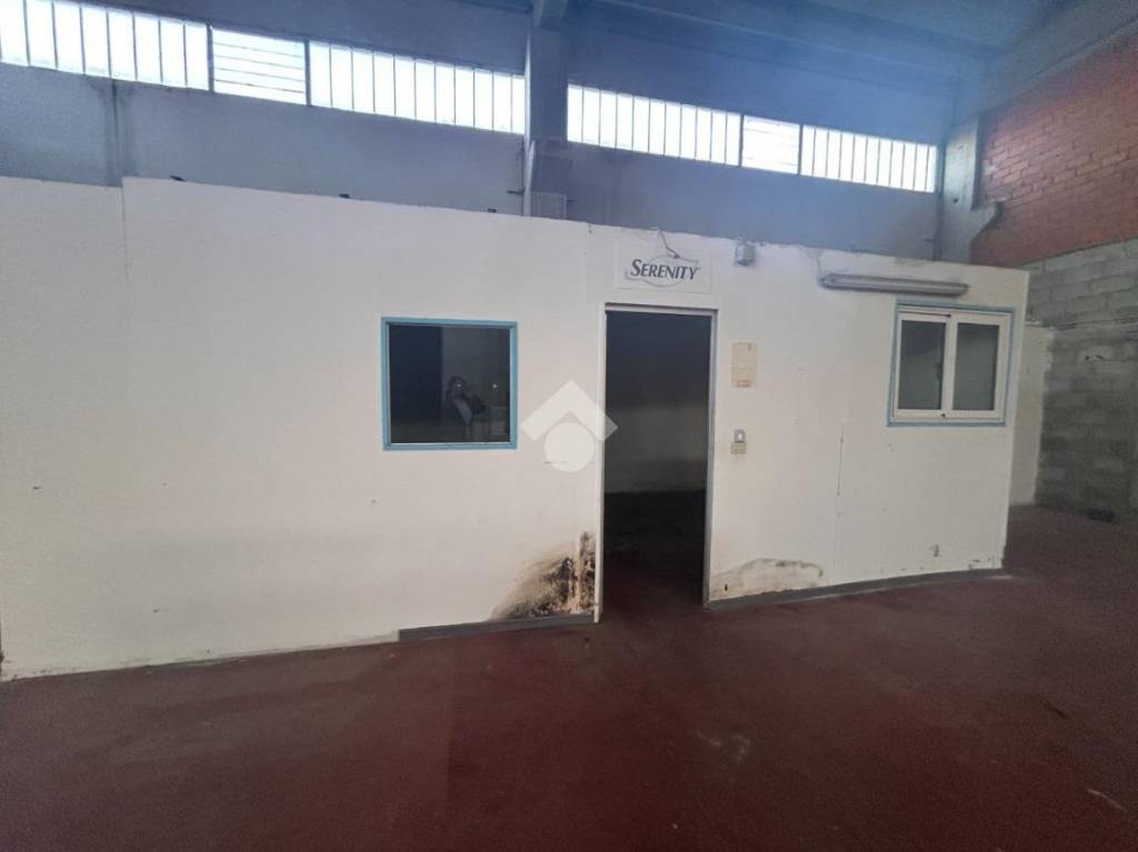 immagine annuncio 10 di 14