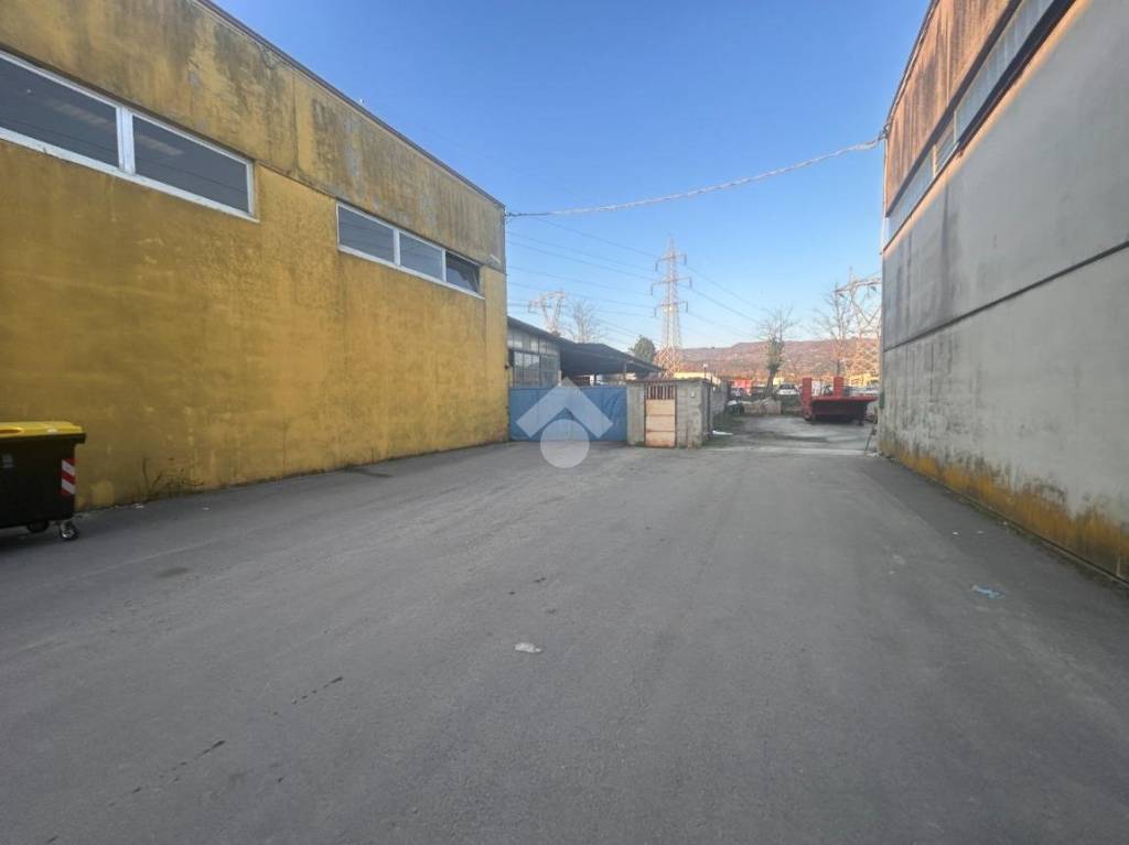 immagine annuncio 12 di 14