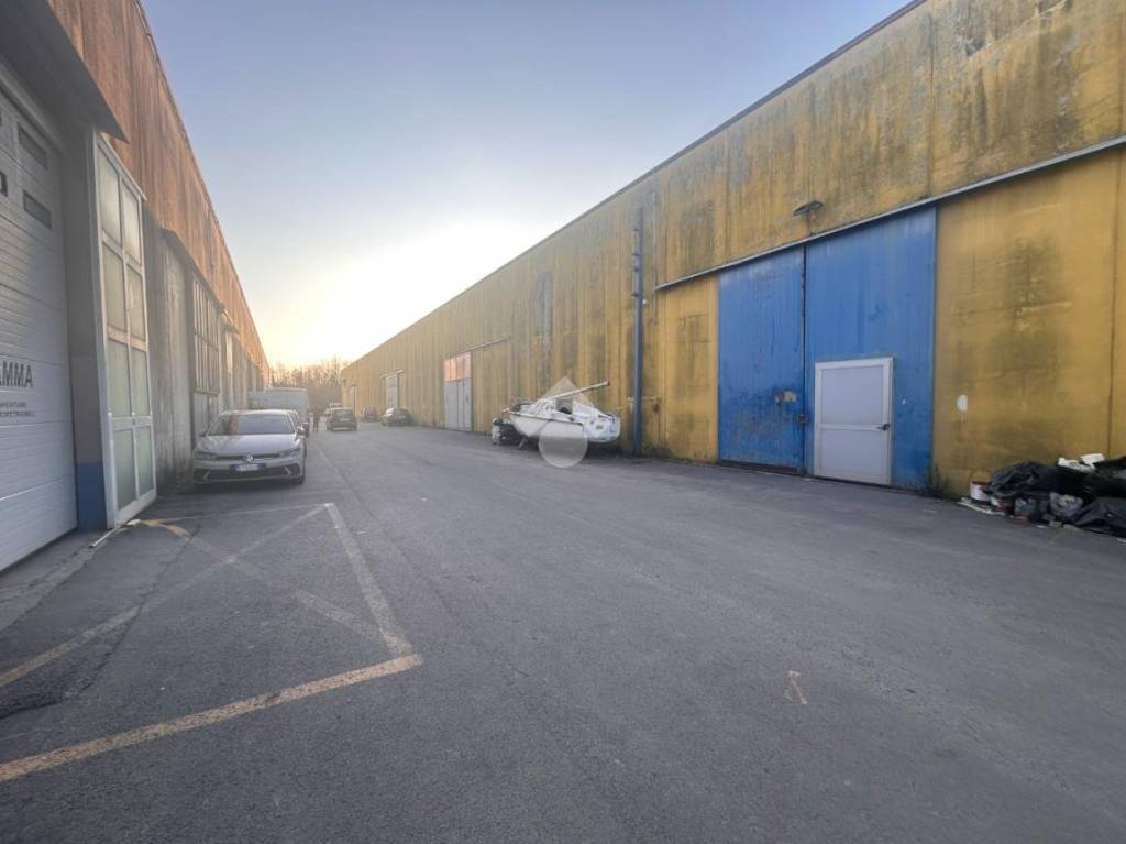 immagine annuncio 13 di 14