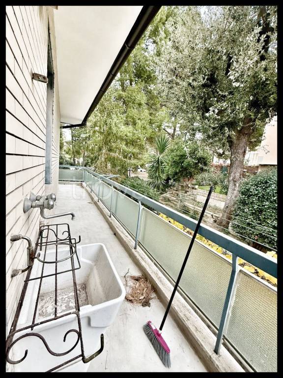 immagine annuncio 7 di 12