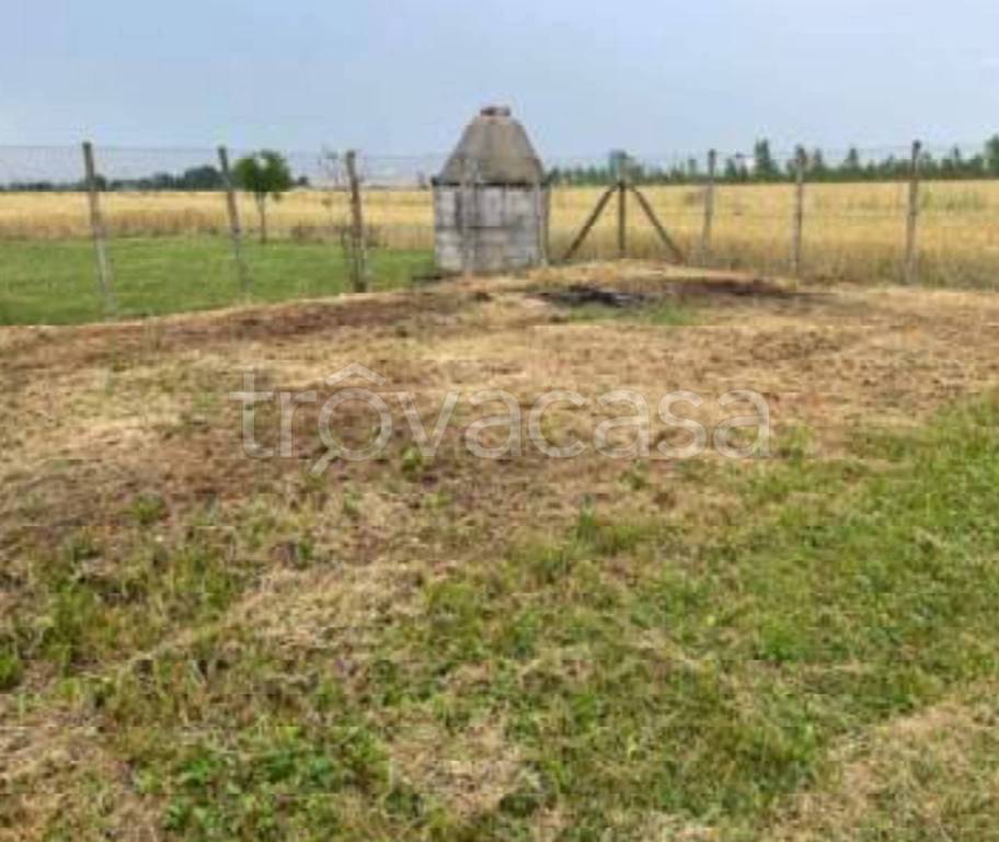 immagine annuncio 6 di 12