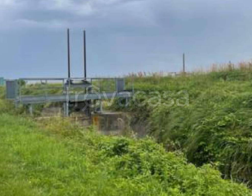 immagine annuncio 8 di 12