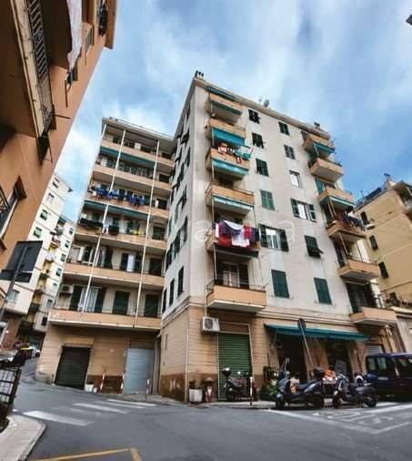 immagine annuncio 9 di 14