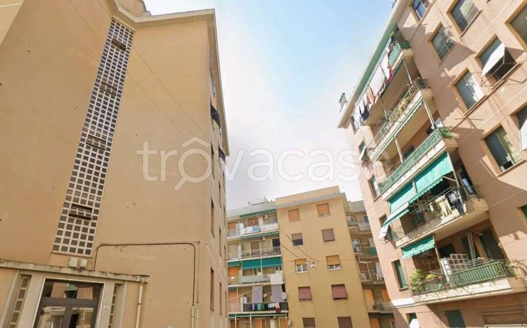 immagine annuncio 13 di 14