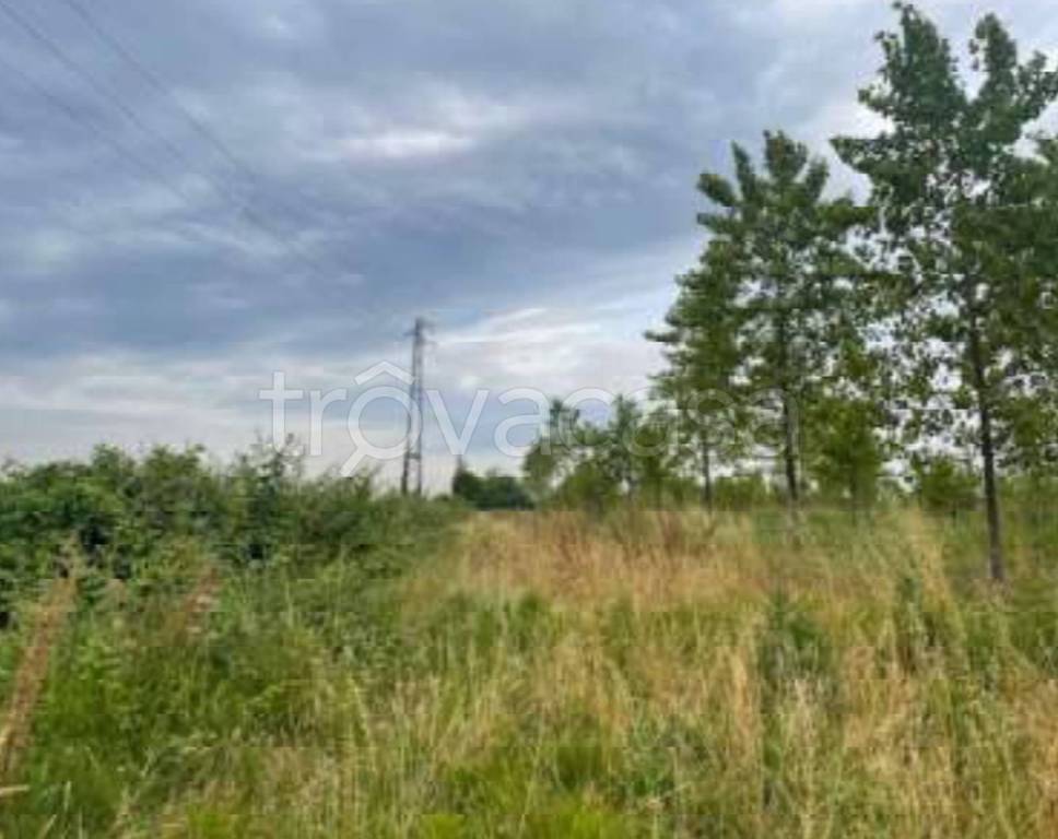 immagine annuncio 9 di 12