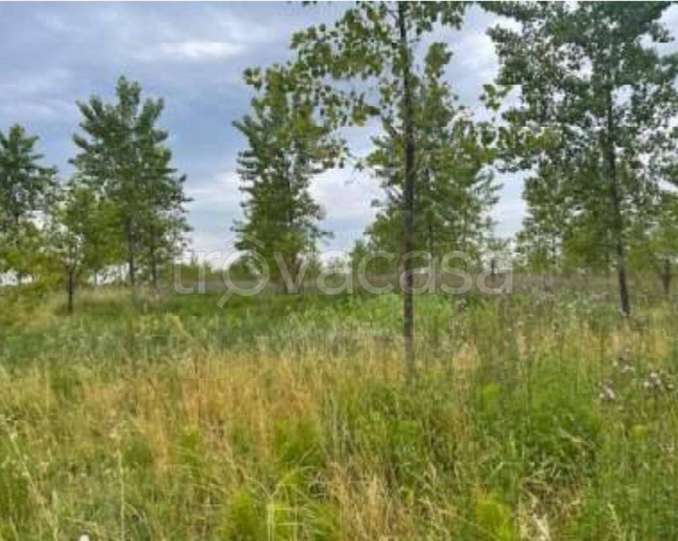 immagine annuncio 10 di 12